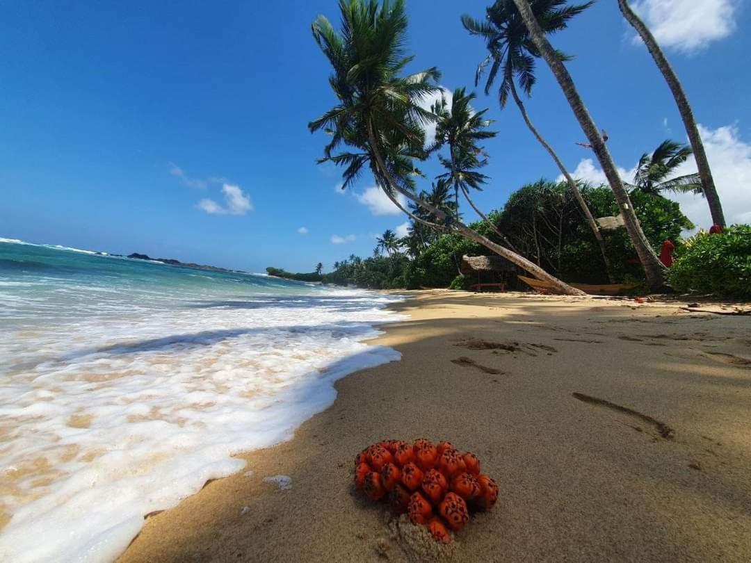 Turtle Beach House Batigama المظهر الخارجي الصورة