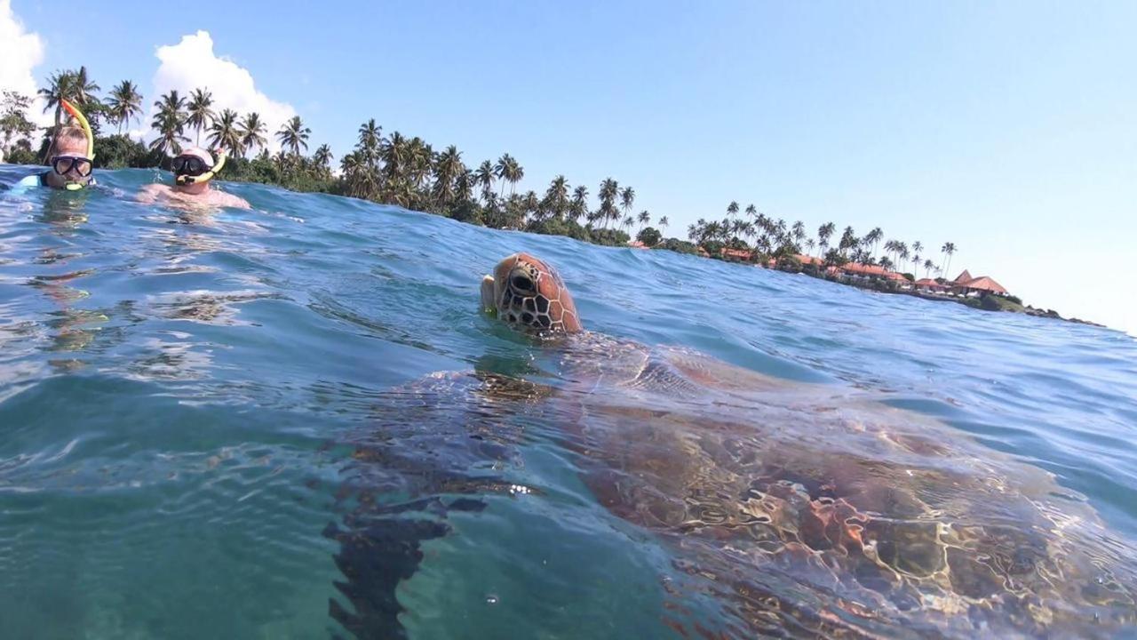 Turtle Beach House Batigama المظهر الخارجي الصورة