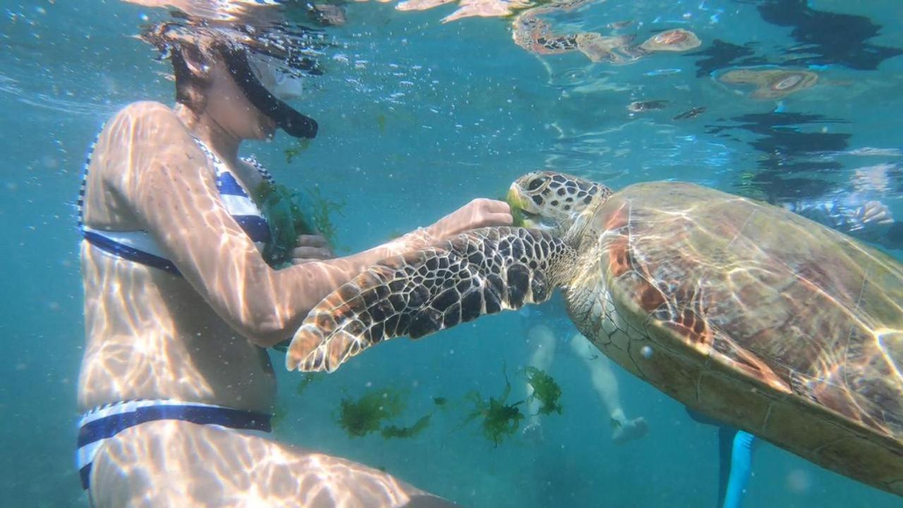 Turtle Beach House Batigama المظهر الخارجي الصورة
